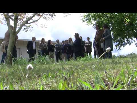 Projecto A2 Transfer