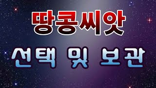 [텃밭농부.805]  땅콩씨앗의 선택과 보관.