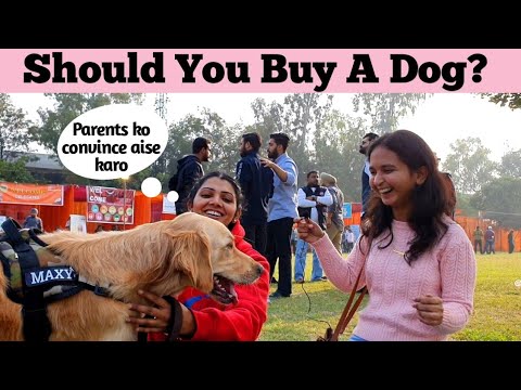 Asking Dog owners intresting questions | Gadvasu Dog Show | Ludhiana
