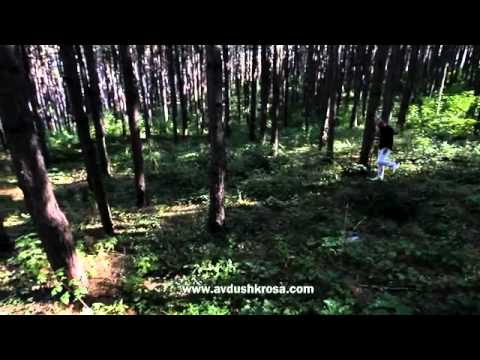 Avdush Krosa - Kujdes Syrin