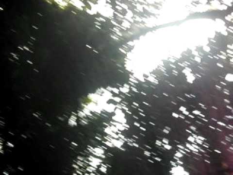 Toma 5 - Joga Bonito