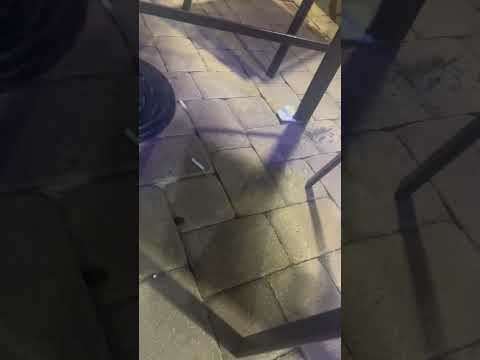 Red Lion Hotels - Harassment complaint