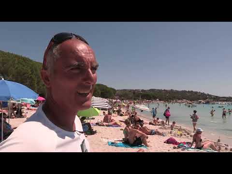 Vacances en Corse : Sauvetages et Interventions sous Haute Tension