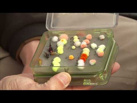 Maitland River Fall Steelhead Fishing