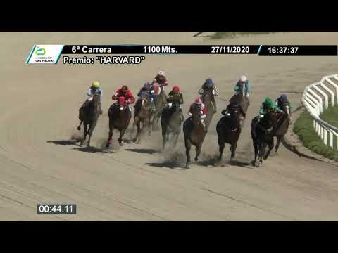 201127 c06 PREFERENCIAL HARVARD - MACHIAVELLO Posse y Boot Strap por Storm Cat HIPODROMO LAS PIEDRAS