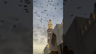 Download lagu Islamic Background Video - No Copyright - Mosque Video mp3