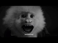 "What did Jack do? "Dissecting David Lynch's Weird New Netflix Short