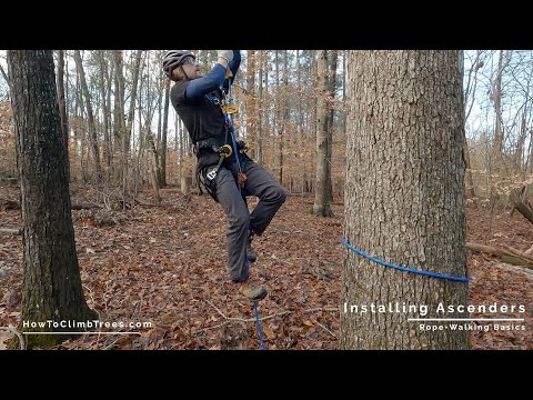 Foot & Knee Ascender Best Practices for Rope Walking & Tree Climbing