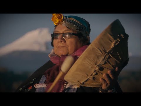 La Araucanía | Ministerio de las Culturas, las Artes y el Patrimonio