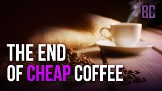 Here's Why Your Next Cup of Coffee Will Cost $25