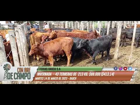 Resumen del remate de Ferias Rauch - Martes 14 de marzo de 2023 - Rauch