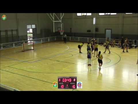 Junior Femenino N1 Adesavi Terralfas