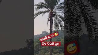 Download lagu Rum Sange Soda 🤣 #shorts #viral #odiasong mp3