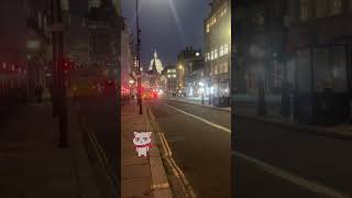 奥に見えるのはセント・ポール大聖堂✨🇬🇧#ロンドン生活 #ワーホリ #イギリスワーホリ #海外生活 #YMS #ロンドン #london