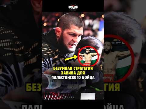 Безумная стратегия, которую применил Хабиб для палестинского бойца  #шорты #ufc #короткий