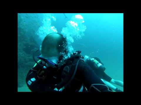 diving on the  Proteus and British Splendour wrecks 5/27/2016