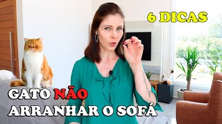 Como fazer para o GATO NÃO arranhar o SOFÁ - Gatil Hauser