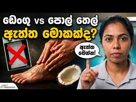 දණහිසෙන් පහළ පොල් තෙල් ගෑවොත්, ඩෙංගු වලින් බේරෙන්න පුළුවන් ද? වෛරල් පණිවුඩයේ ඇත්ත මෙන්න | Fact Check