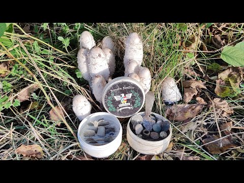 Der Bayern Sondler Teil 179 - Der altbekannte Acker wirft immer noch mit keltischen Münzen um sich