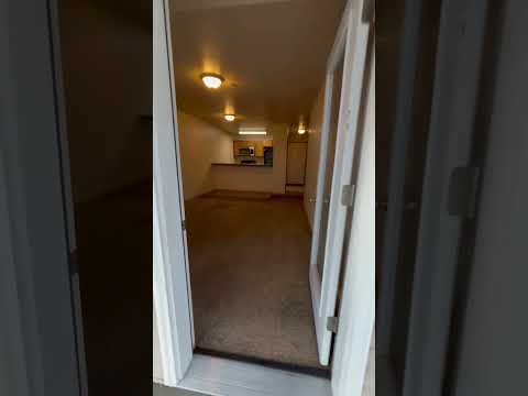 1661 Shindig - Video 2 of 2