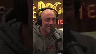 Roger Waters Debunks Dark Side of the Moon Wizard of Oz Synchronization