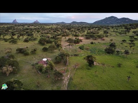 VIDA SIMPLES NO SERTÃO DA BAHIA