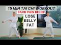 15 Min Tai Chi Workout For All Levels Burn Belly Fat Slim Your Body Fast