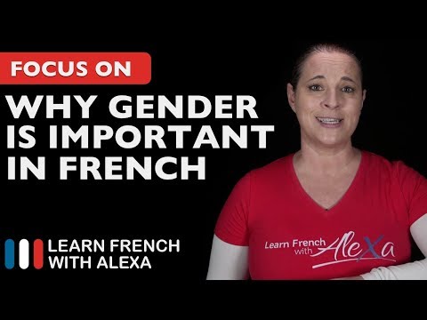 Why knowing the gender of a French word is important