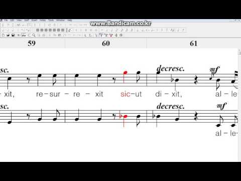 Regina Caeli KV276 (Mozart) Soprano