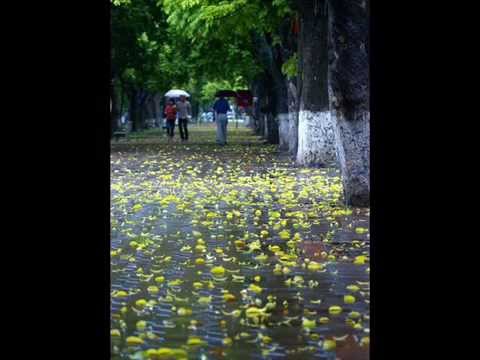 Thể hiện bởi Lam Trường