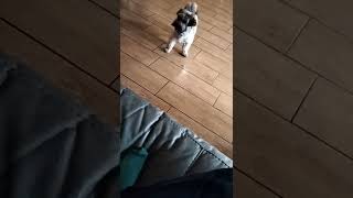 Download lagu Lola and ruby mp3