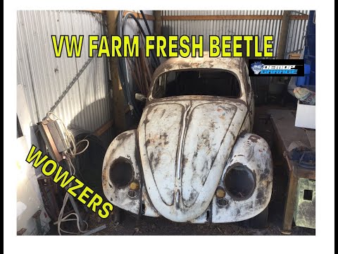 VW RESCUE 1956 OVAL BEETLE FARM FRESH #vwbeetle