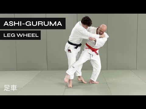 How to do Ashi Guruma in Judo and BJJ | Leg Wheel | 足車 — judo technique demonstration