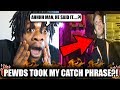 Pewdiepie Took My Catch Phrase Pewdiepie Mine All Day Minecraft Music Video REACTION