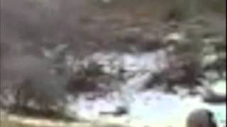 #18 of 62 "Sasquatch startled while watching kids shoot"    bigfoot sightings