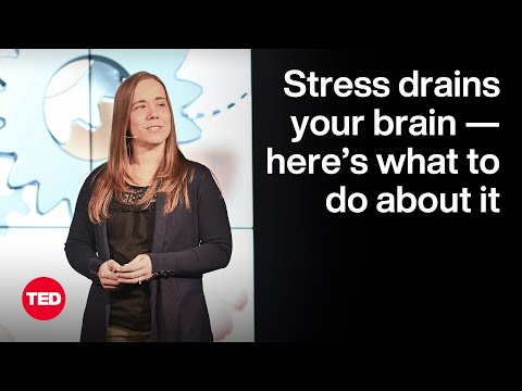 How Stress Drains Your Brain — and What To Do About It | Nicole Byers | TED