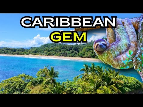 Why Playa Cocles is Costa Rica's Caribbean Side Gem 🏝️