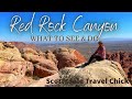 Ultimate Red Rock Canyon Las Vegas Guide - Unveiling The Must-knows For An Epic Day Trip!