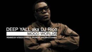 DEEP YALL aka DJ RICO feat. Lady Funk - Mood Worlds (Jakobin & Domino Remix)