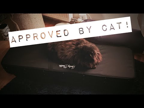 Harley Benton LightCase-El-Bass | Review