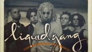 Liquid Gang - Something Wicked