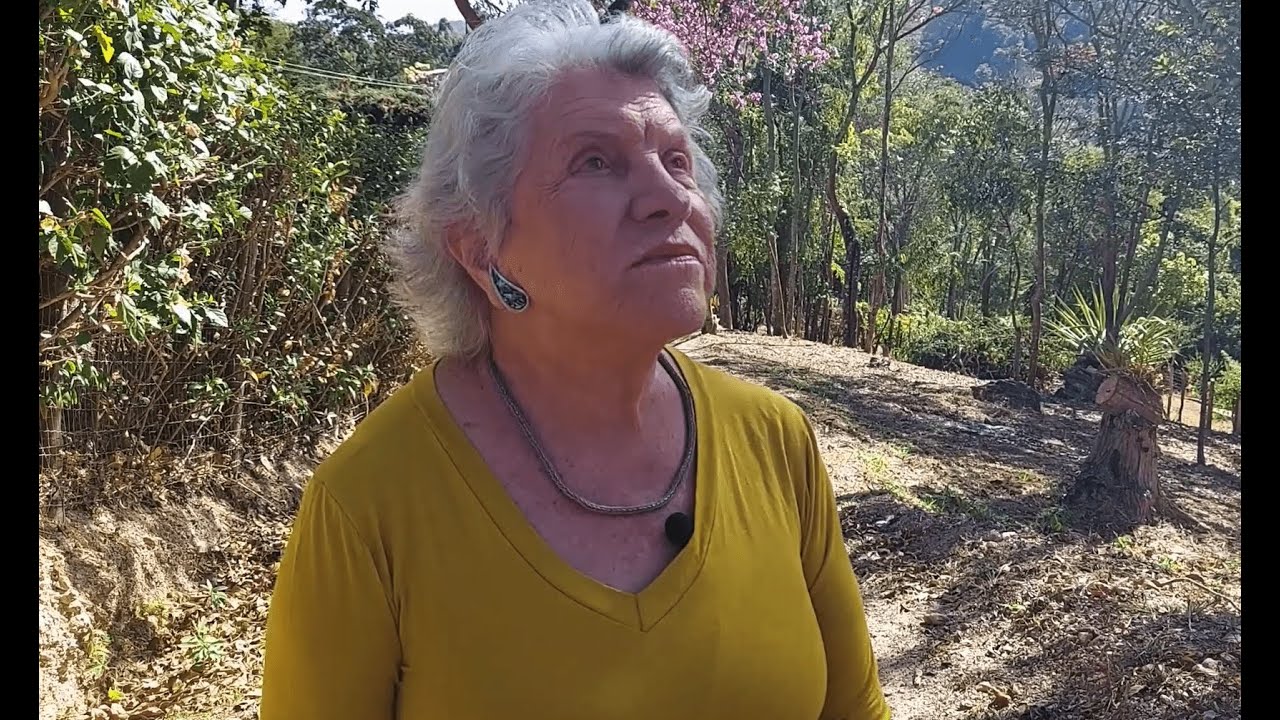 O fascínio da medicina em tratar os sintomas