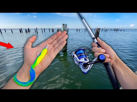Fishing BIG BAITS for Saltwater GIANTS!! (Catch and Cook)