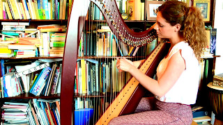 The Blackthorn Stick (Grainne Hambly) ✳ Traditional Irish Music ✳  Double Jig Celtic Harp