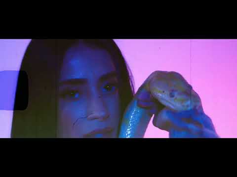 Haznar - Tu Oportunidad