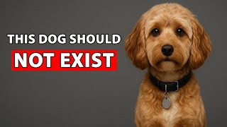 How Humans Are Ruining Dogs