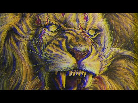 Timmy Trumpet & The Golden Army - Mufasa (𝗦𝗹𝗼𝘄𝗲𝗱 & 𝗥𝗲𝘃𝗲𝗿𝗯𝗲𝗱)