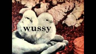 Wussy - Maglite