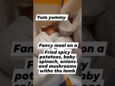 #poverty-meal #save-money # cook at home🫶☺️🫶