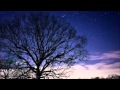 The Tale Of The Old Oak Tree/ Composed by Nielse